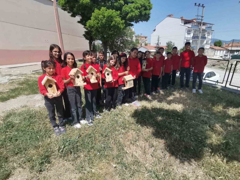 Minik Öğrenciler Ağaçlara Kuş Yuvası Astı