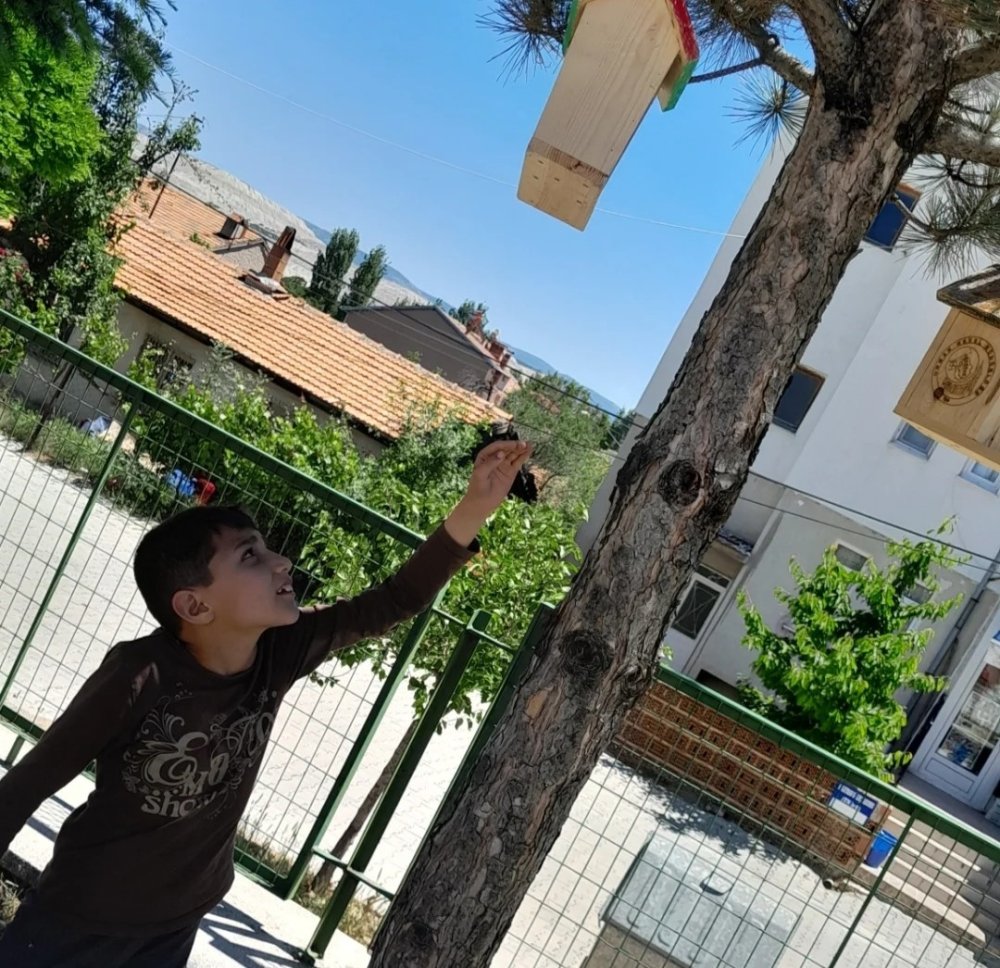 Minik Öğrenciler Ağaçlara Kuş Yuvası Astı