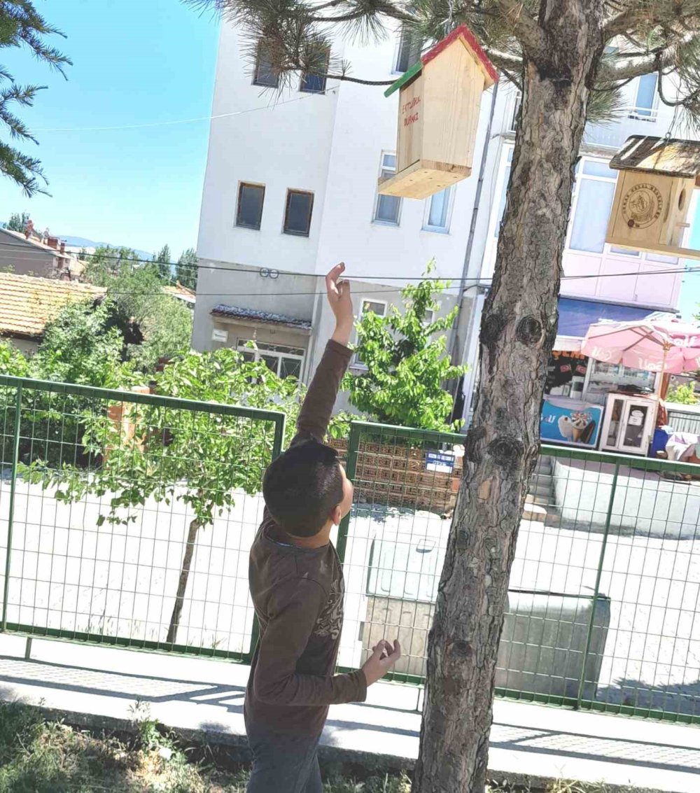 Minik Öğrenciler Ağaçlara Kuş Yuvası Astı