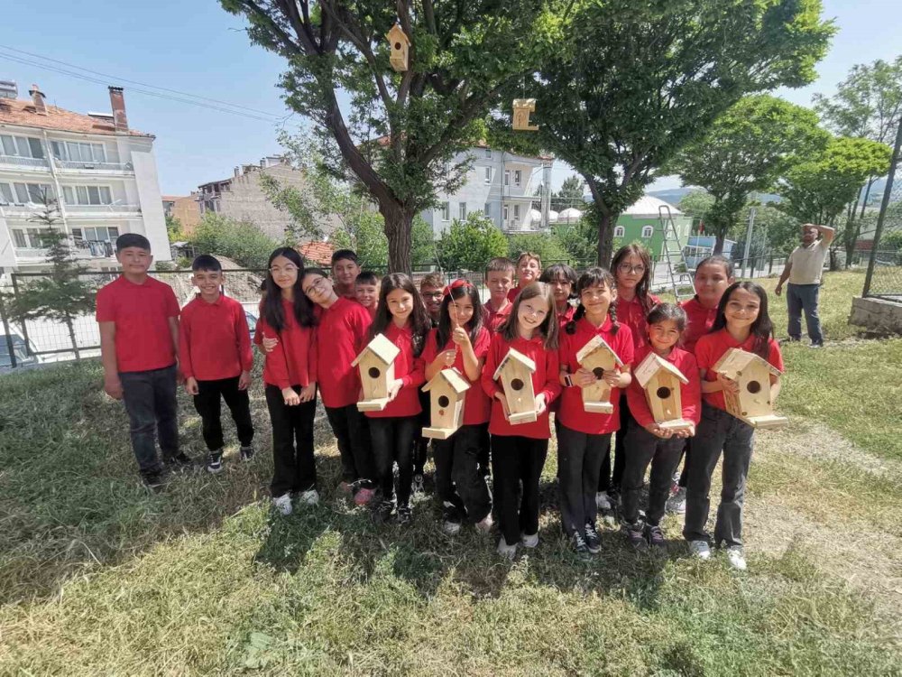Minik Öğrenciler Ağaçlara Kuş Yuvası Astı