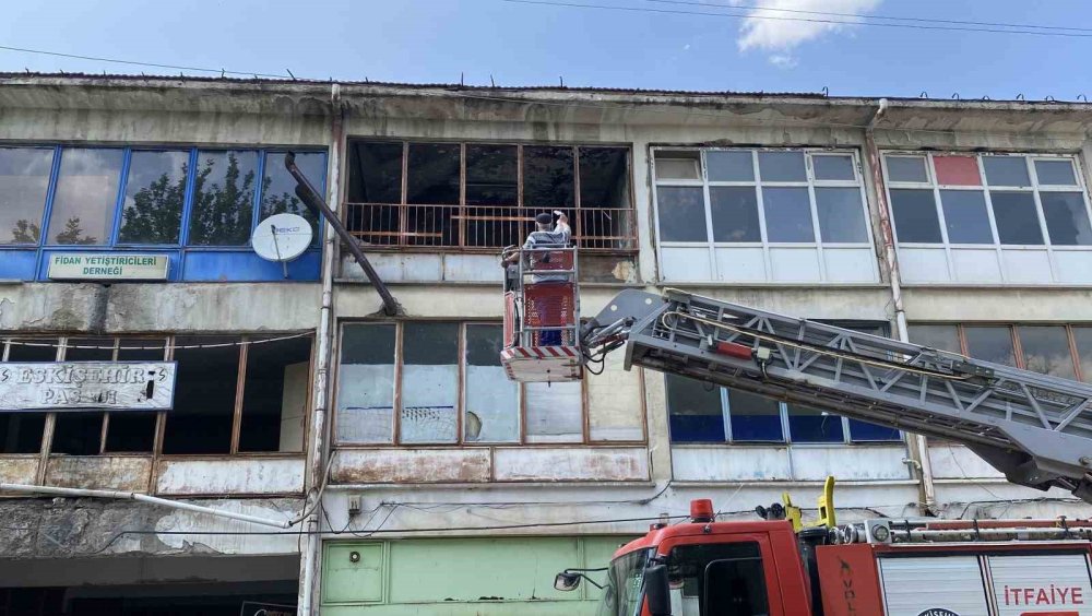 Yaklaşık 2 Haftadır Depoda Mahsur Kalan 6 Köpek Kurtarıldı