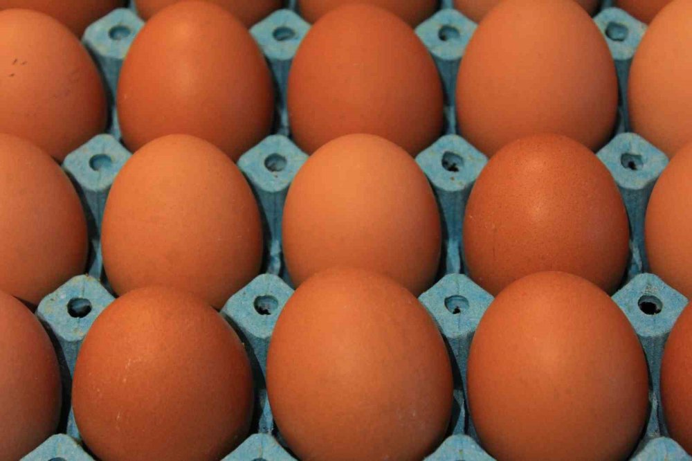 Yumurta Üretimi 6 Ayda 330 Milyon Adet Azaldı