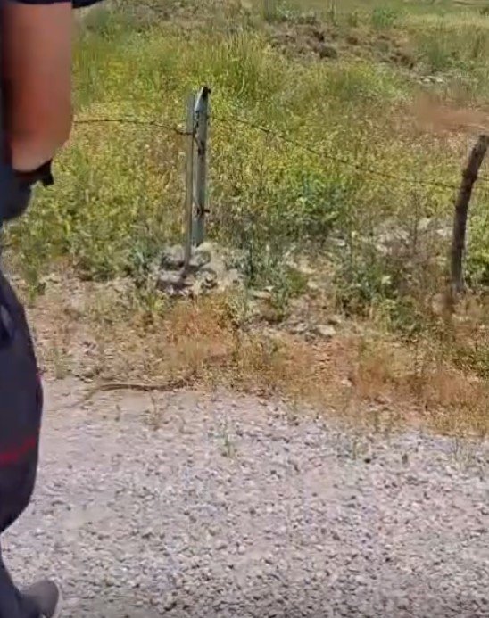 Yılan Ve Kene Alarmı
