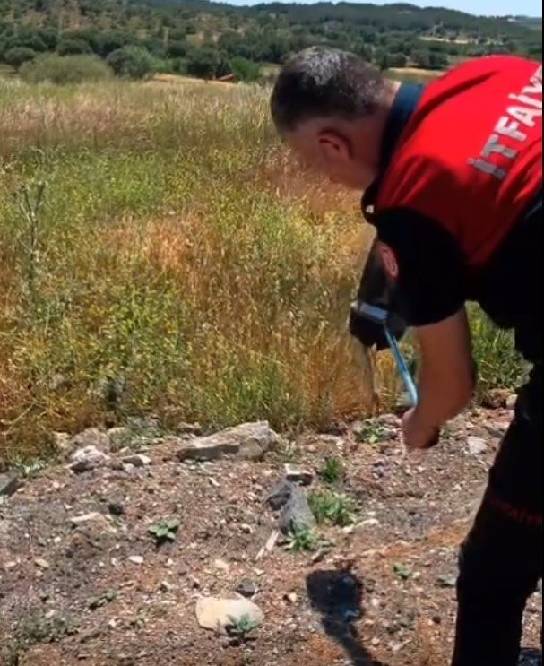 Yılan Ve Kene Alarmı