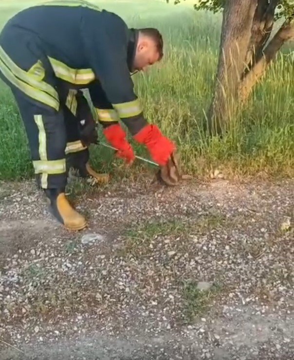 Yılan Ve Kene Alarmı