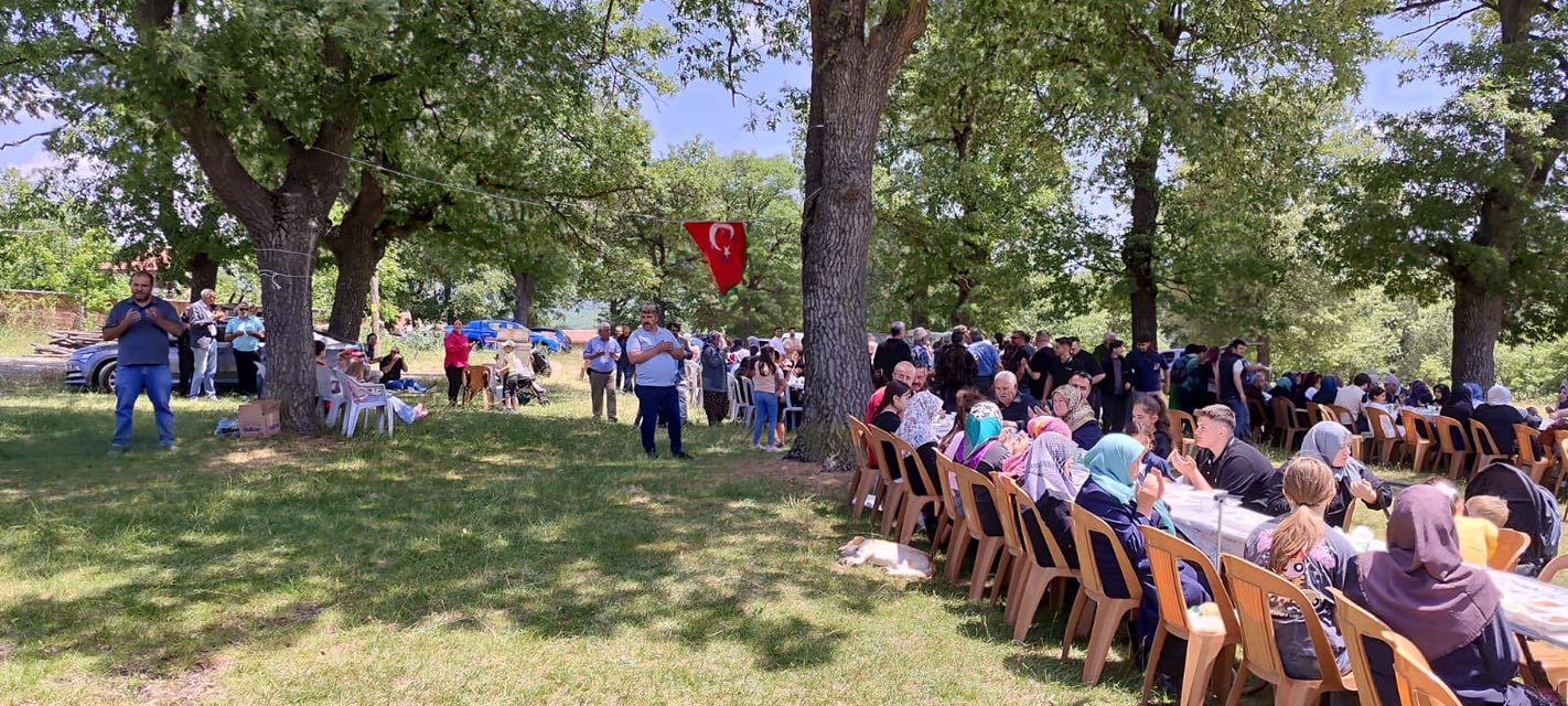 daridere2.jpg