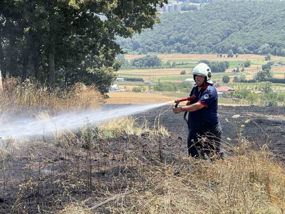 150 Dönümlük Tarım Arazisi Kül Oldu