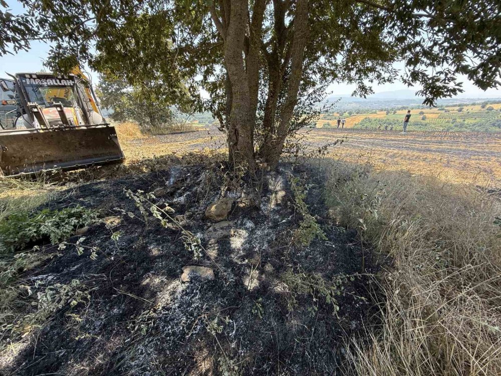 150 Dönümlük Tarım Arazisi Kül Oldu