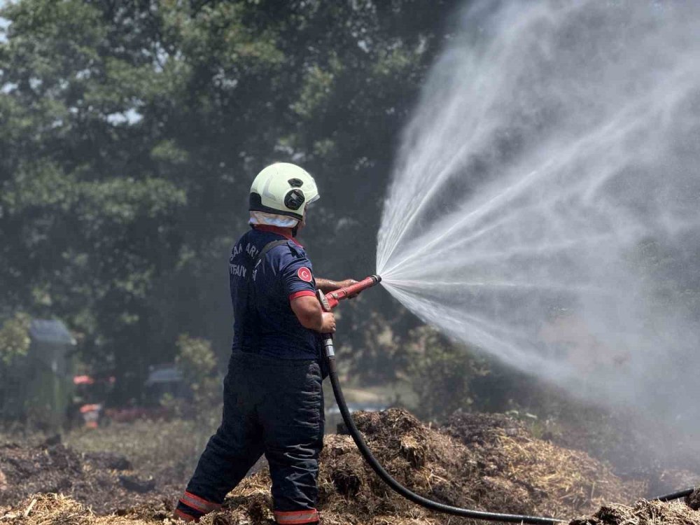 150 Dönümlük Tarım Arazisi Kül Oldu