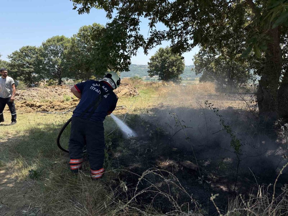 150 Dönümlük Tarım Arazisi Kül Oldu