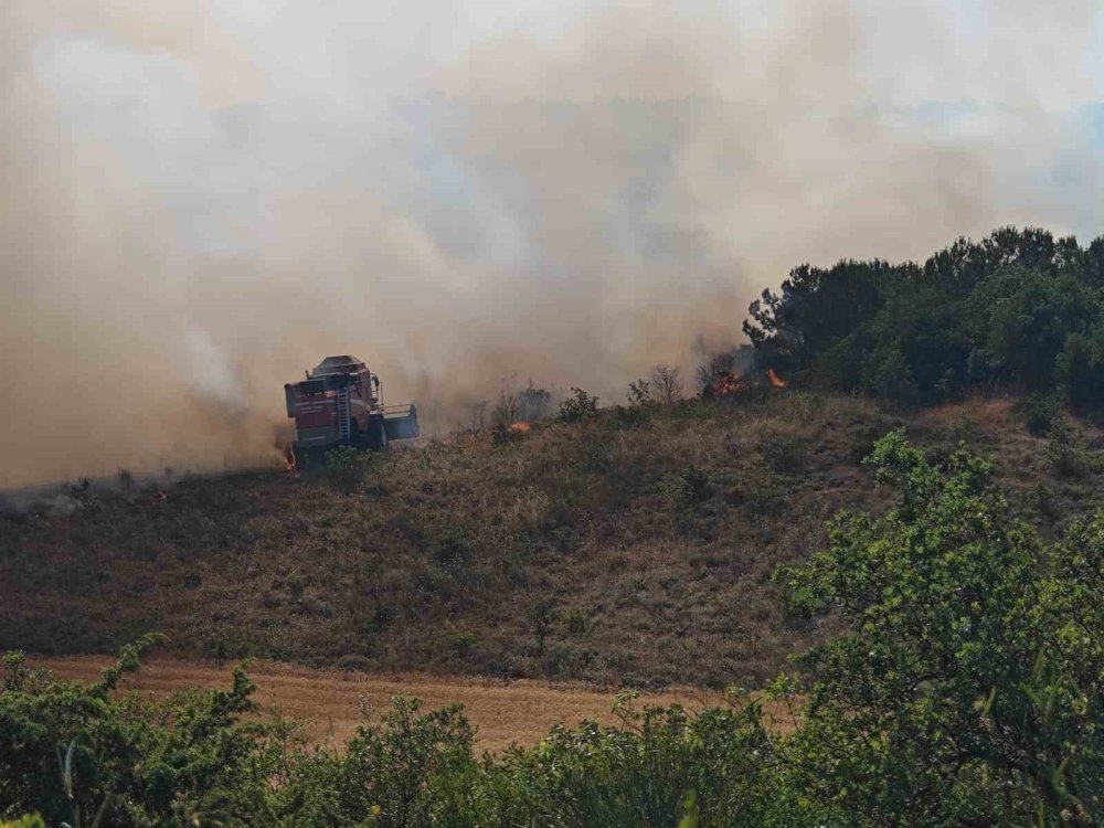 Buğday Tarlaları Alevlere Teslim Oldu