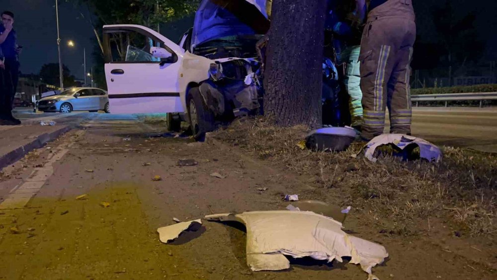 Direksiyon Hakimiyetini Kaybederek Ağaca Çarptı