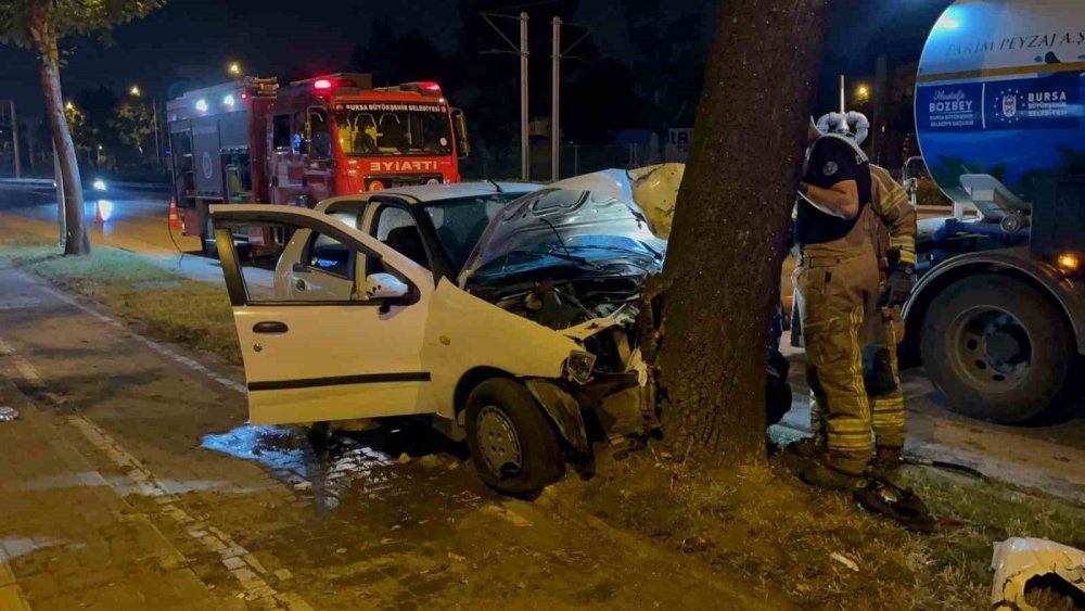 Direksiyon Hakimiyetini Kaybederek Ağaca Çarptı