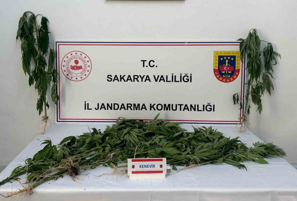 Uyuşturucuya Geçit Yok: 3 Tutuklama