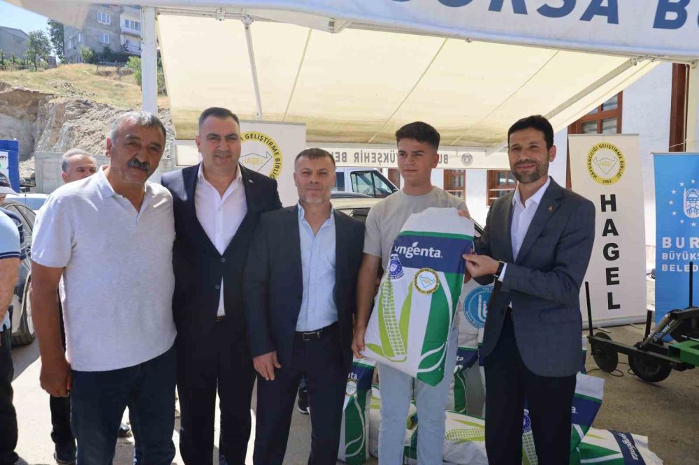 a Dağ İlçelerine Silajlık Mısır Tohumu Desteği