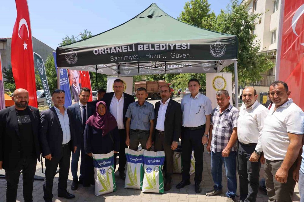 a Dağ İlçelerine Silajlık Mısır Tohumu Desteği