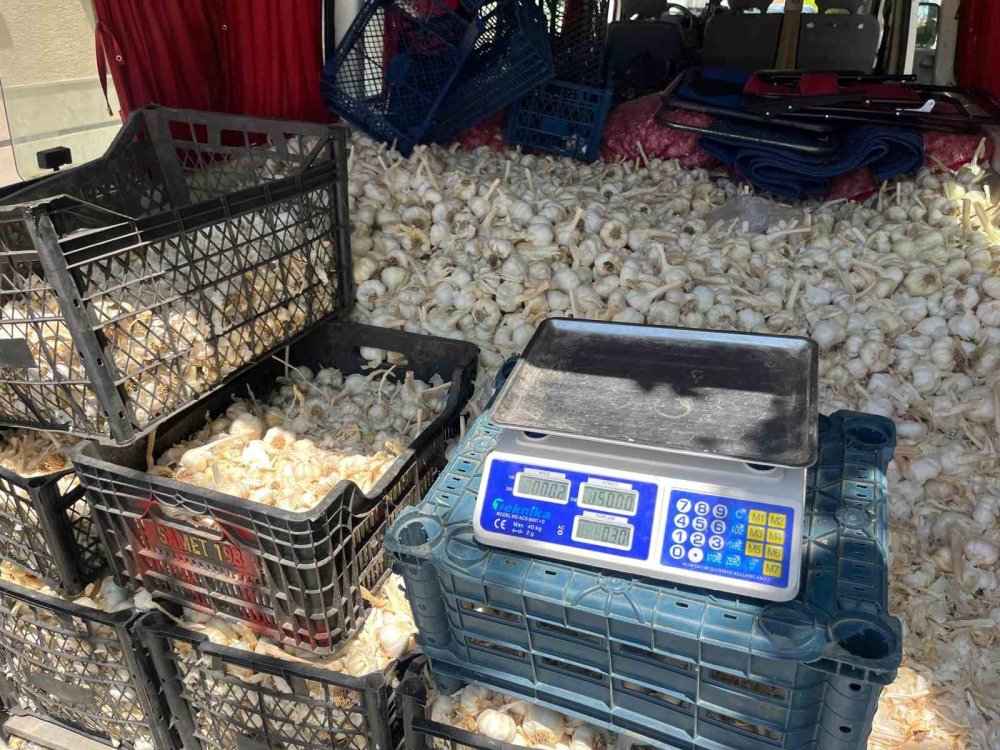 Ekmek Parasını Kazanmak İçin Binlerce Kilometre Yol Gezdiler