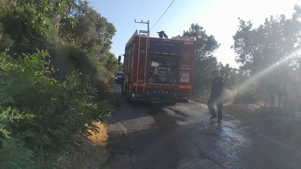Elektrik Tellerine Temas Eden Karga Yangına Neden Oldu