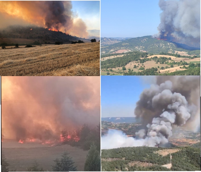 yesil-vatan-icin-daha-dikkatli-olma-zamani1.jpg