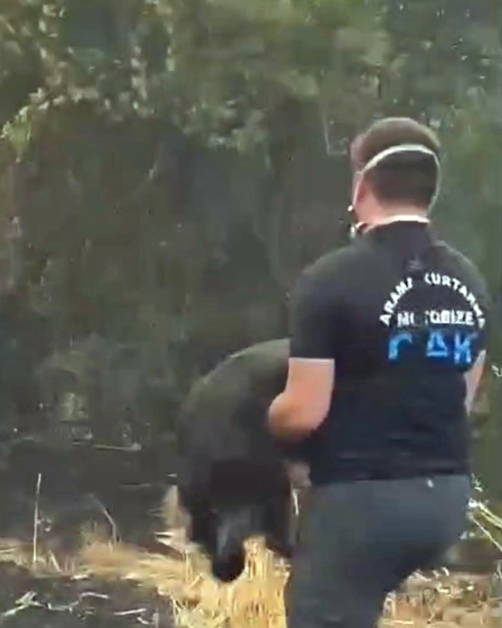 Orman Yangınında Alevlerin Ortasındaki Köpeği Kurtaran Görevli Takdir Topladı