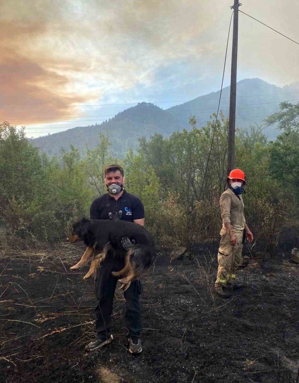 Orman Yangınında Alevlerin Ortasındaki Köpeği Kurtaran Görevli Takdir Topladı