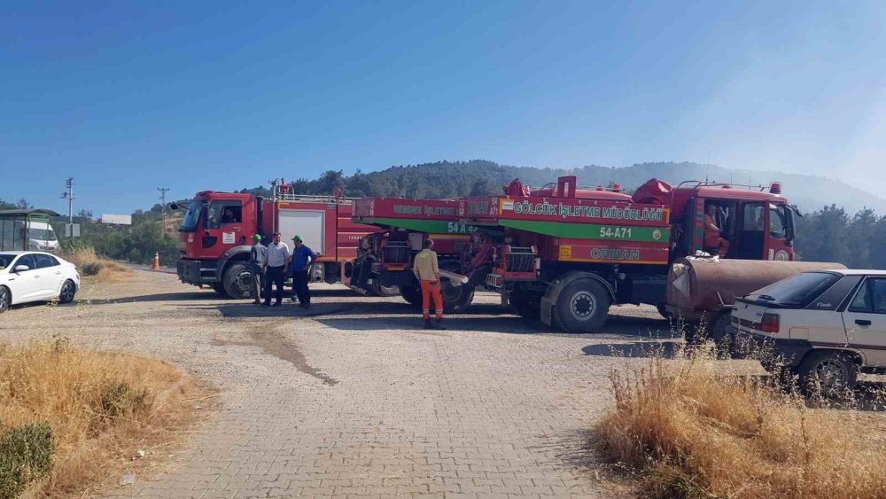 Sakarya’da Ormanlık Alanda Çıkan Yangına Havadan Ve Karadan Müdahale Sürüyor