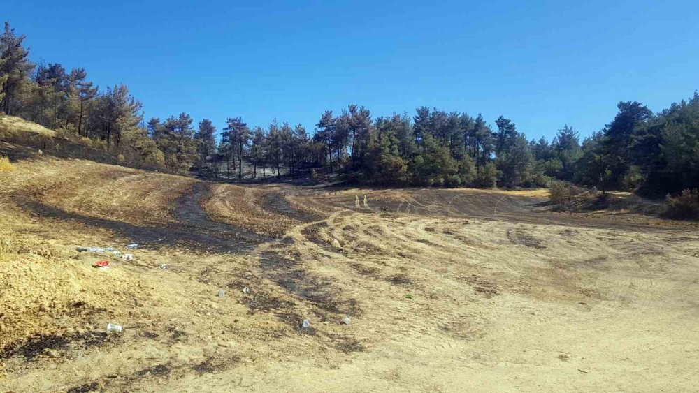 Sakarya’da Ormanlık Alanda Çıkan Yangına Havadan Ve Karadan Müdahale Sürüyor