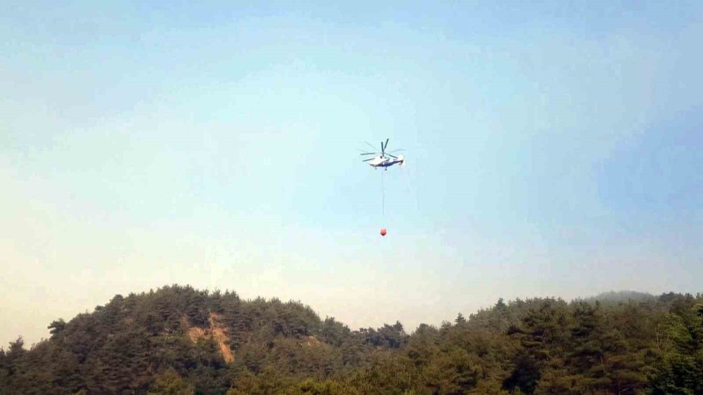 Sakarya’da Ormanlık Alanda Çıkan Yangına Havadan Ve Karadan Müdahale Sürüyor