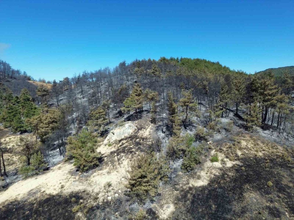 Sakarya’daki Orman Yangınına 700 Personel, 200 Araç Ve 11 Helikopter Müdahale Ediyor