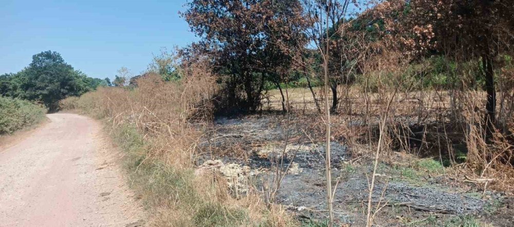 200 Saman Balyası Yandı, Çiftçiler Traktörleriyle Müdahale Etti