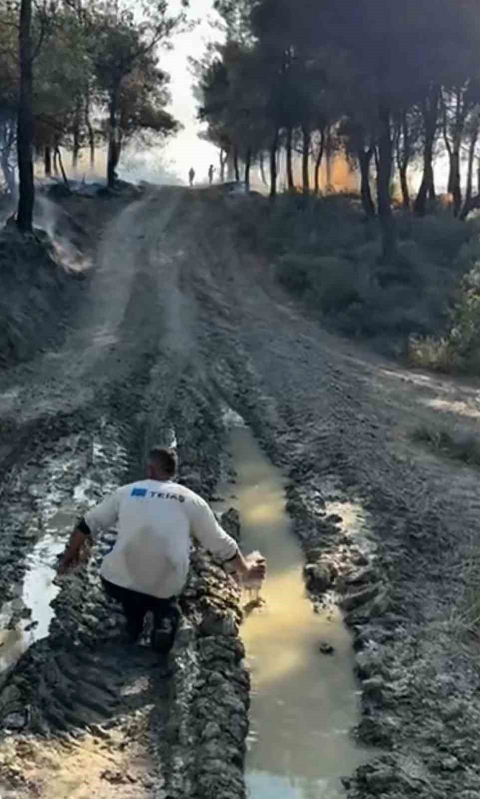 Alevlere Elindeki Pet Şişeyle Direndi