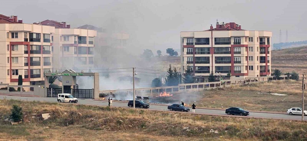 Çöpe Atılan İzmarit Nedeniyle Yangın Çıktı