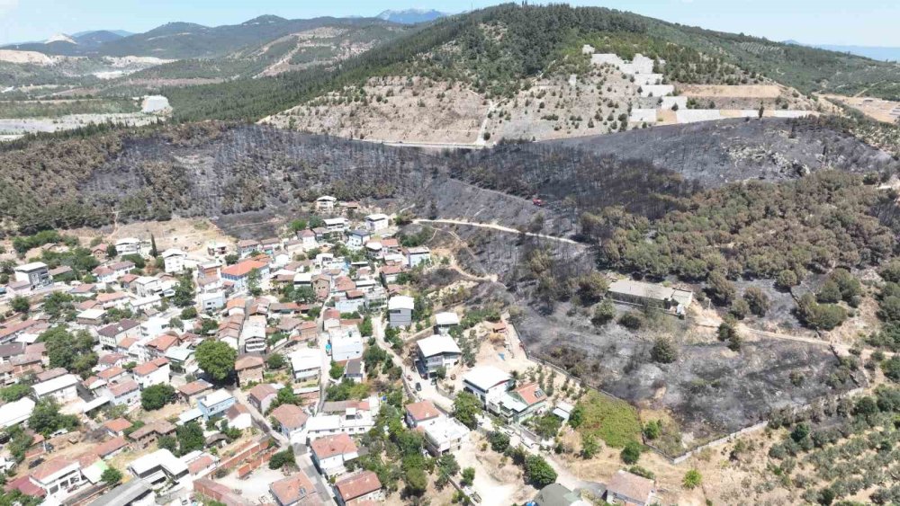 Orman Manzaraları Kömürlüğe Döndü