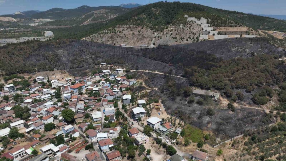 Orman Manzaraları Kömürlüğe Döndü