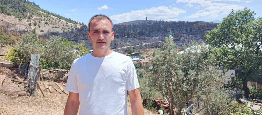 Orman Manzaraları Kömürlüğe Döndü