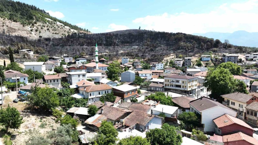 Orman Manzaraları Kömürlüğe Döndü