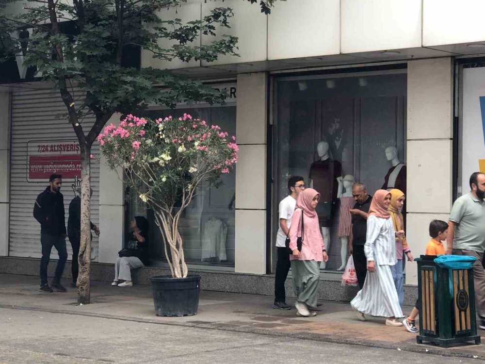 Yağmurdan Kaçmak İçin Saçakların Altına Sığındılar