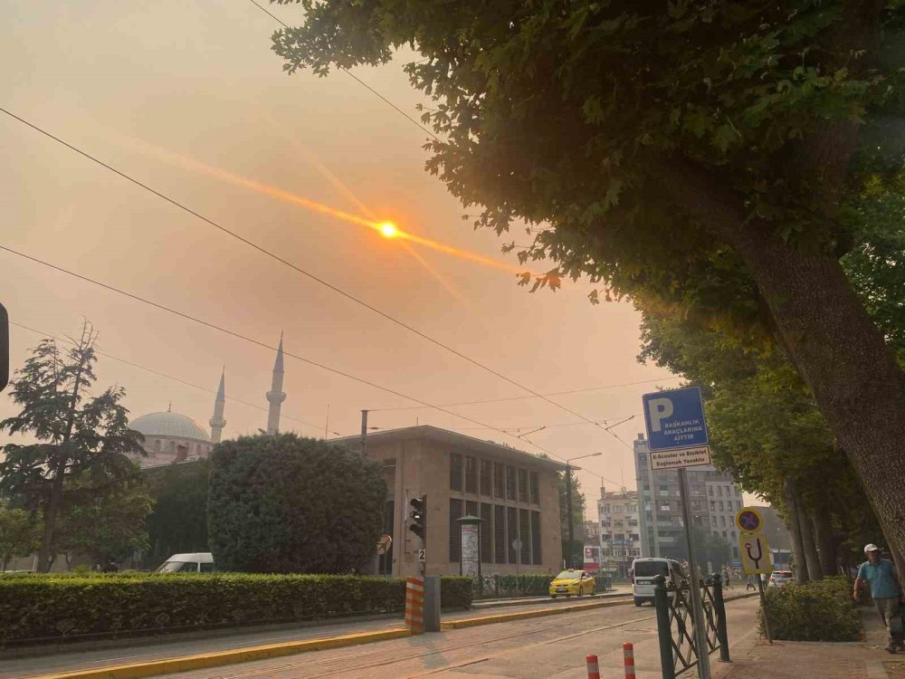 Yangın Dumanı Ve Koku Vatandaşı Telaşlandırdı