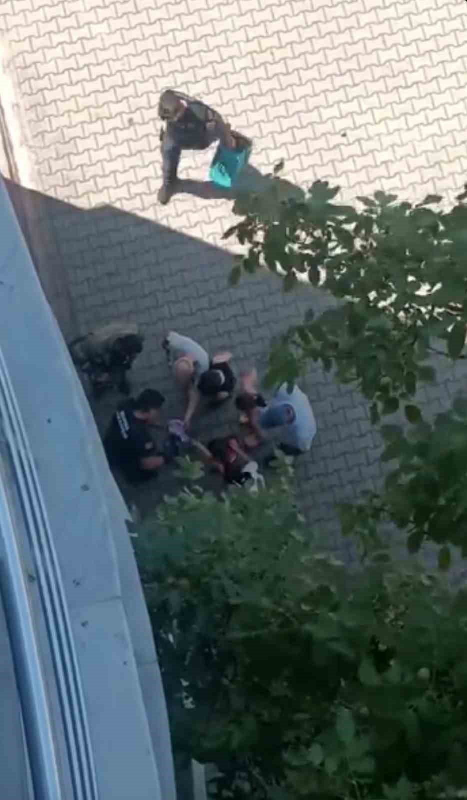 Yürekleri Isıtan Kurtarma Yavru Karga Ağaca Sıkıştı, Çaresizce Bekledi