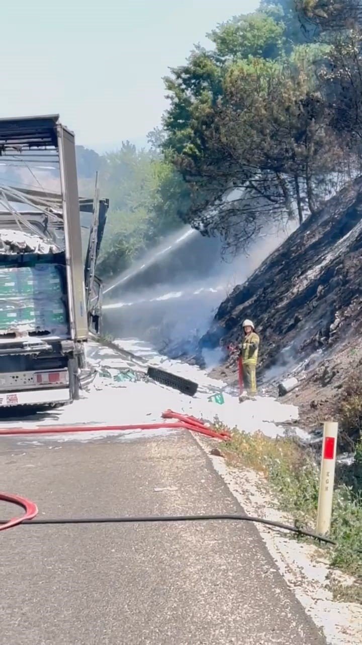 Motor Yağı Yüklü Tır Alev Alev Yandı, Ormana Sıçrayan Yangın Güçlükle Söndürüldü