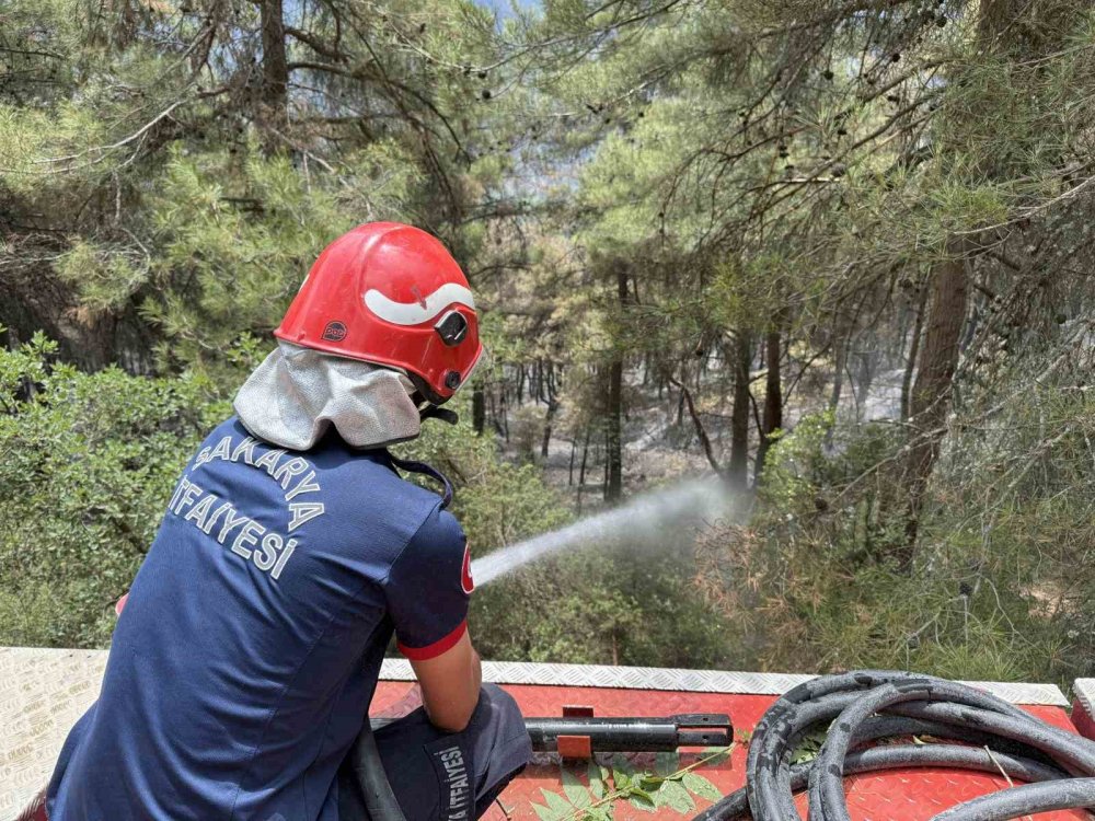 Yeşilin Tonlarının Yanarak Siyaha Büründüğü Alanlar Havadan Da Görüntülendi