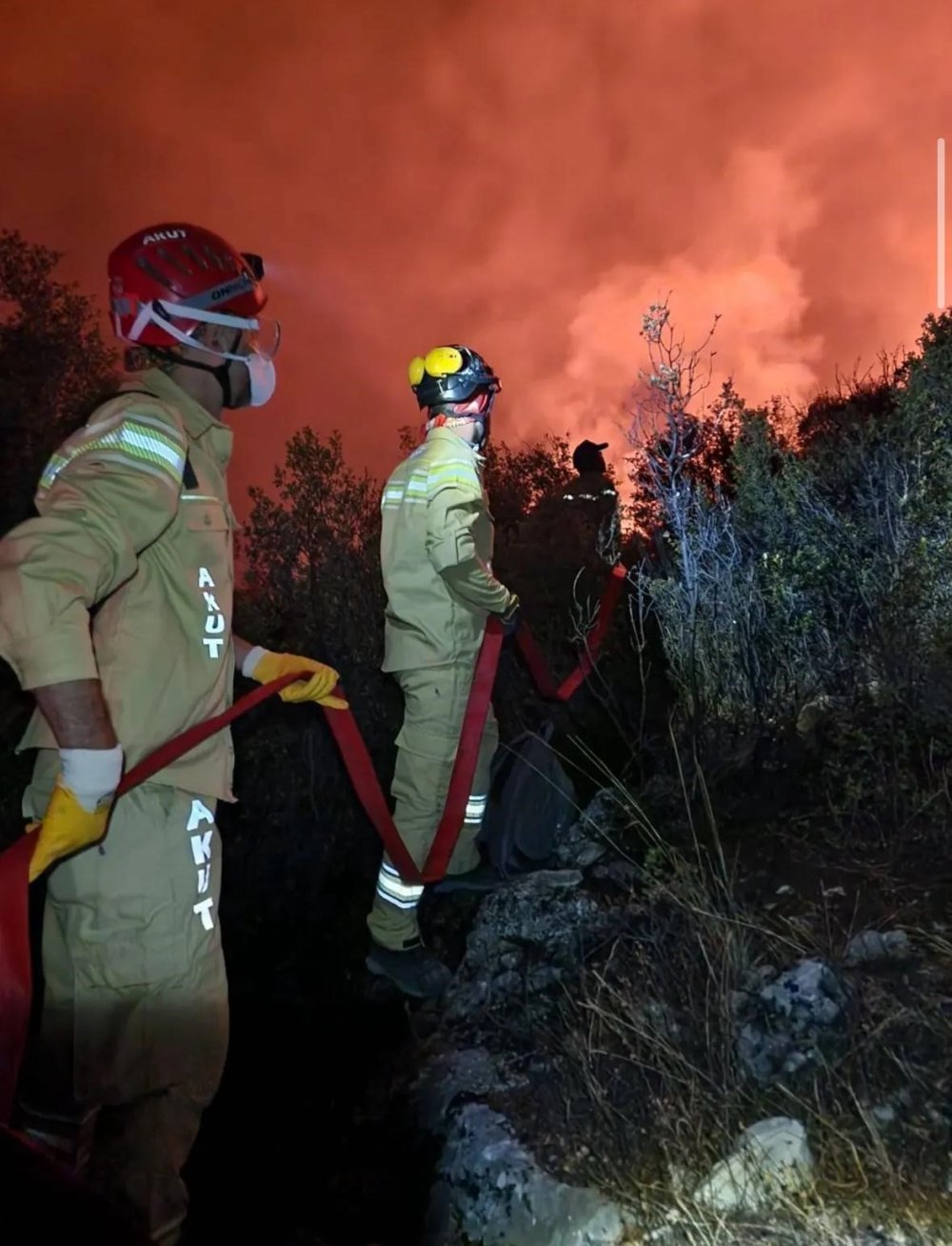 Akut Eskişehir Ekibi Yanmak Üzere Olan Hayvanları Kurtardı
