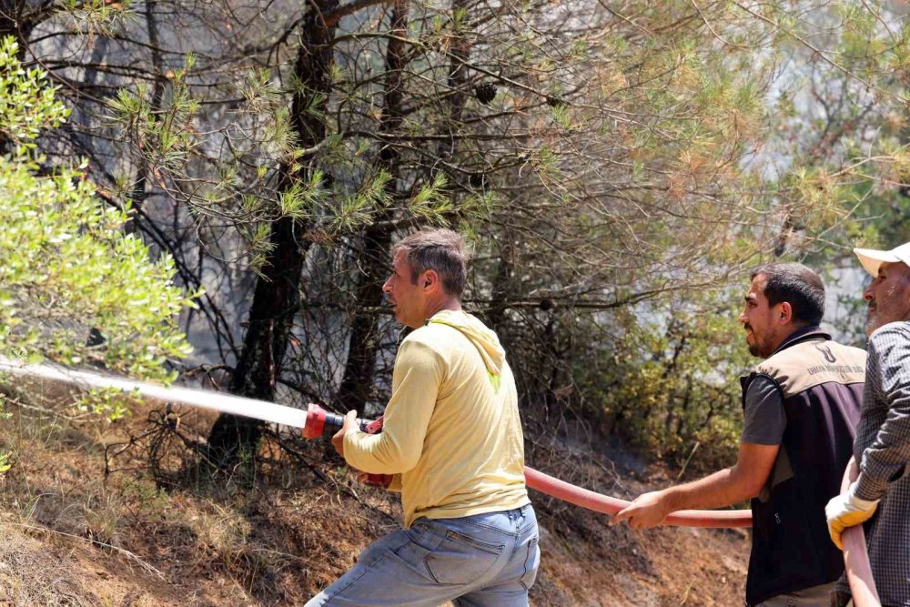 Orman Yangınına İlişkin Gözaltına Alınanlar Serbest Bırakıldı