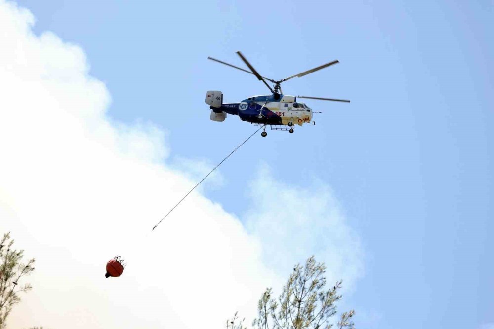 Orman Yangınına İlişkin Gözaltına Alınanlar Serbest Bırakıldı