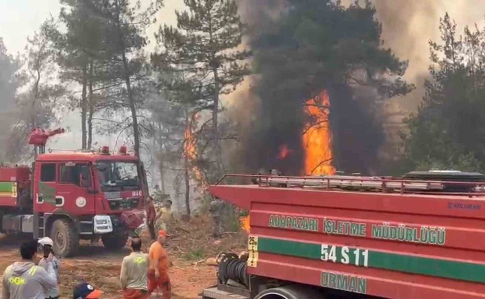 Orman Yangınına İlişkin Gözaltına Alınanlar Serbest Bırakıldı