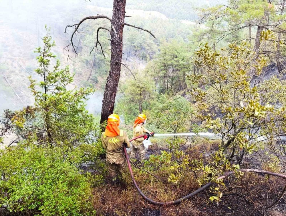 Orman Yangınına İlişkin Gözaltına Alınanlar Serbest Bırakıldı