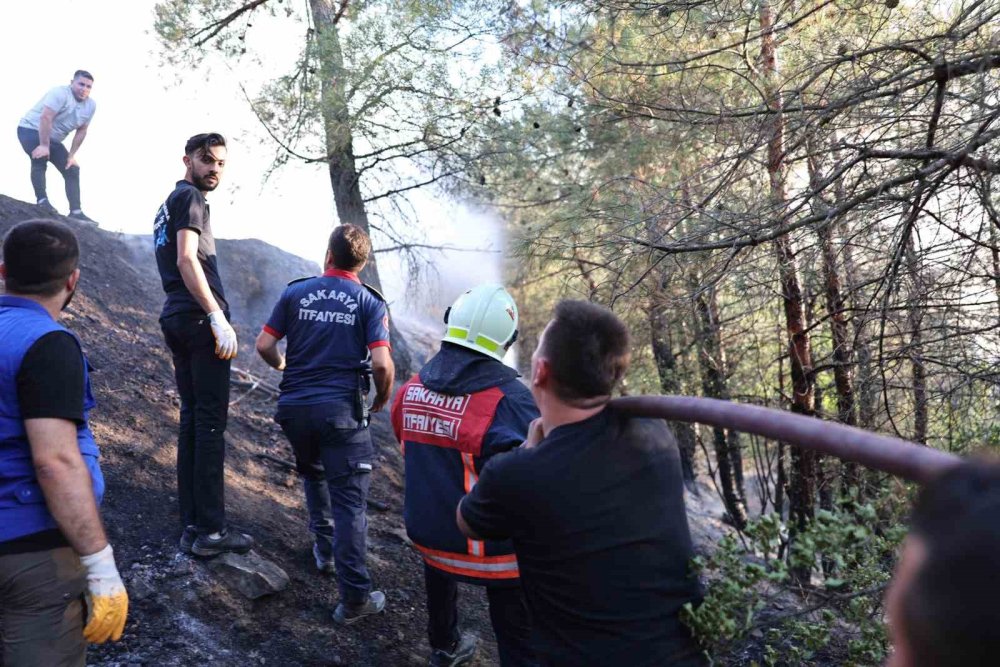 Orman Yangınına İlişkin Gözaltına Alınanlar Serbest Bırakıldı