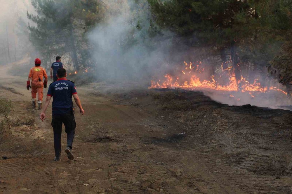 Orman Yangınına İlişkin Gözaltına Alınanlar Serbest Bırakıldı
