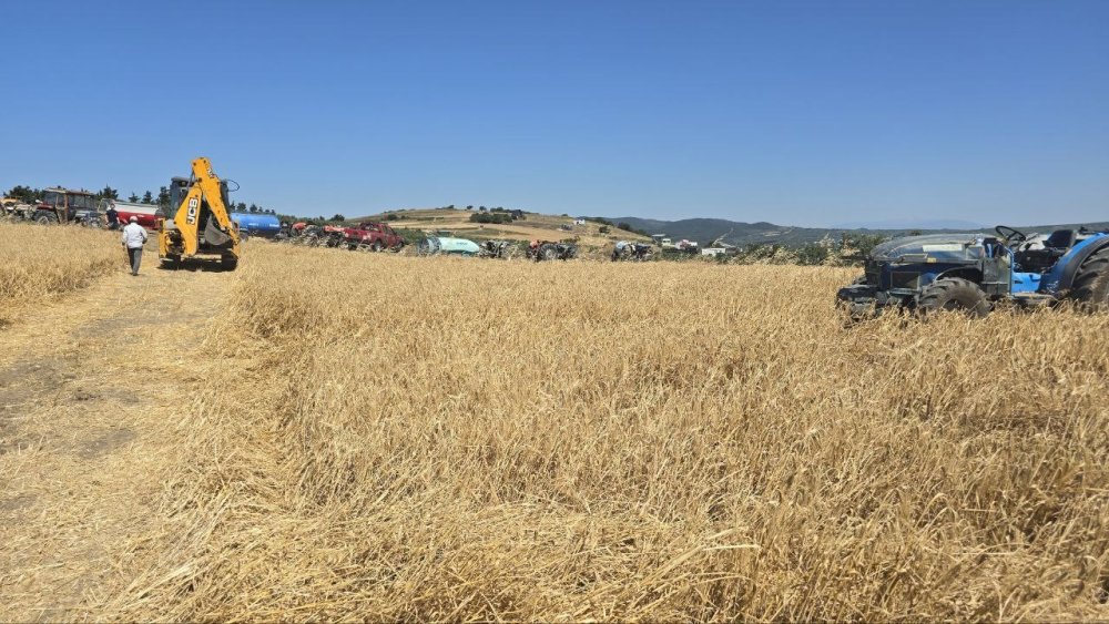 Yangına Zamanında Müdahale Buğday Tarlasını Kurtardı