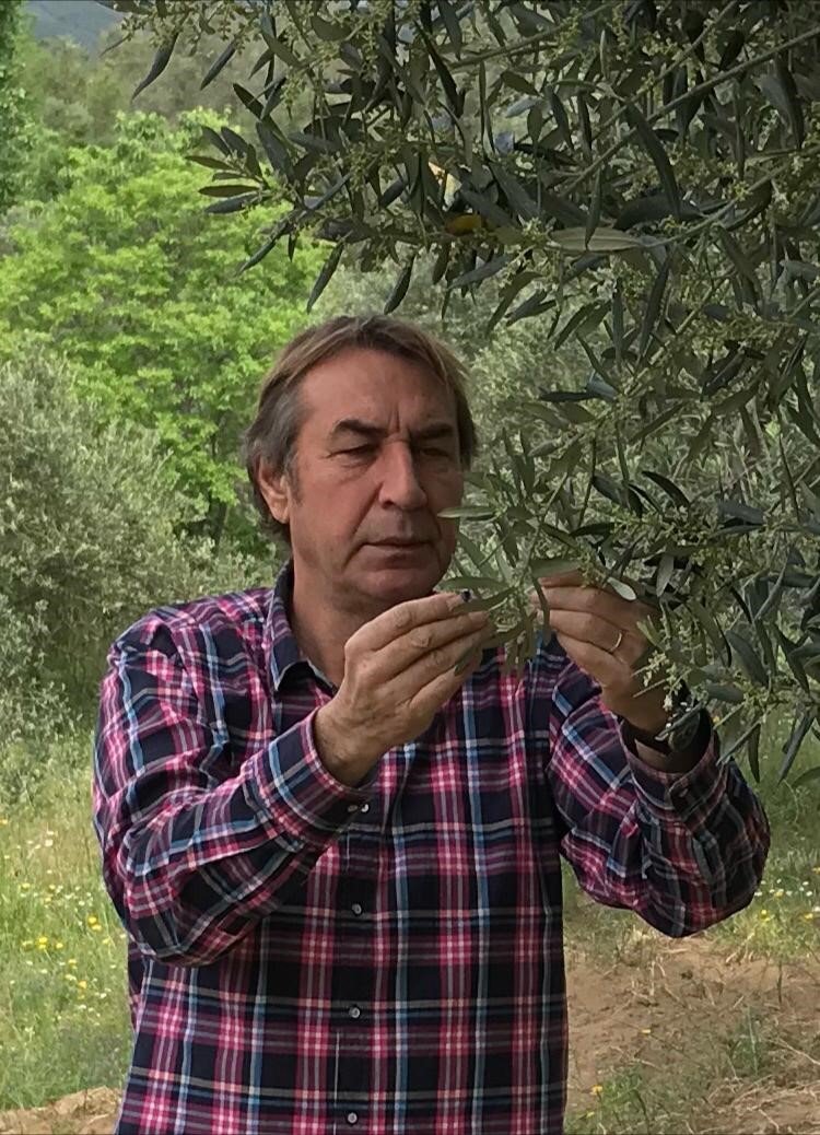 Zeytinyağında Bu Fiyatları "Yok Yılı" Gelmeden Kaçırmayın